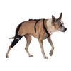 WALKABOUT Knee Brace (Xlarge right 16-19")