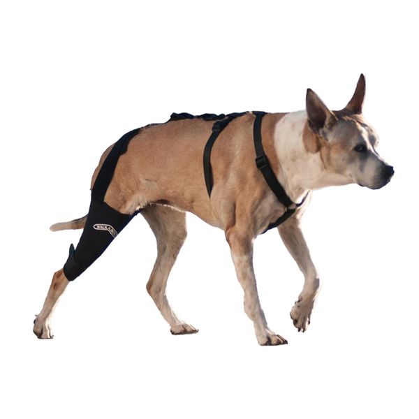 WALKABOUT Knee Brace (Xlarge right 16-19")