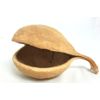 Generisch Buddafrucht Natur ca. 12 cm Bastelmaterial