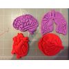 Human Anatomy Cookie Cutter Set (Heart, Lungs, Brain, Eye)