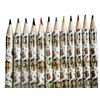 Potter Coloured Pencils