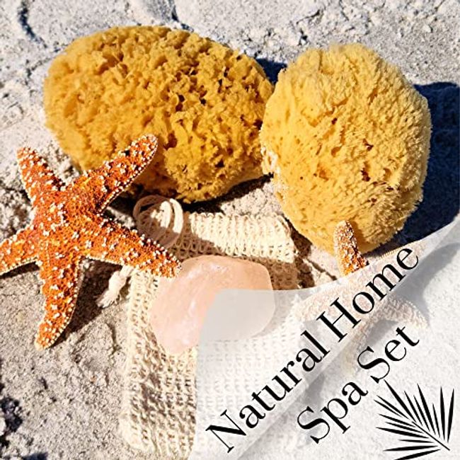 Natural bath sponges - Sea sponge combos for bathing