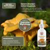 Organic Chanterelle Extracted Mushroom Tincture