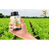 TURMERIC 15,050mg EXTREME 95% CURCUMIN TUMERIC EXTRACT CAPSULES ANTIOXIDANT 3 X