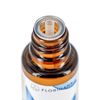 Organic Essential Oil Eucalyptus Smith 0.2 oz (5.56 ml)