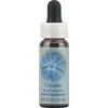Flower Essence Services Supplement Dropper, Cerato, 0.25 Fluid Ounce