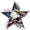 American Flag Eagle Star Decal Large - Trailer Wall Truck- High Quality!!
