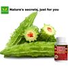BLOOD SUGAR SUPPORT Abere, cinnamon, bittermelon & Fenugreek 100 capsules