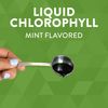 Nature's Way Chlorofresh Liquid Chlorophyll Internal Deodorant, Unflavored, 16 Fluid Ounce