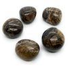 Stromatolite Medium Crystal Tumbled Stone - Eneregy In Harmony - 1 Pc
