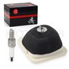 2000 2001 2002-2008 Air Filter Element Assembly & Spark Plug for Yamaha TTR125L