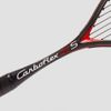 Tecnifibre Carboflex 125 (S) Squash Racquet