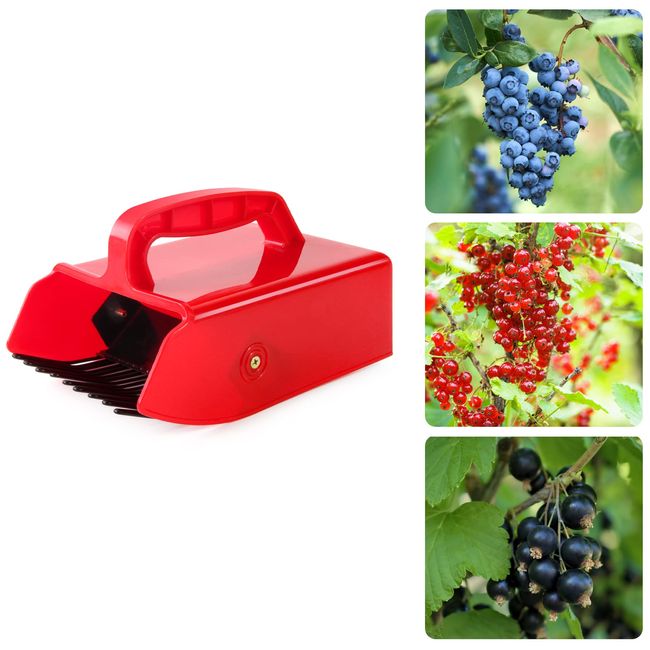 Domiella Blueberry Picker with Metallic Comb and Handle, Easier Berry Picking Harvest Tool,Berry Picker Rake Scoop for Blueberries Lingonberries Huckleberries, Red Handle