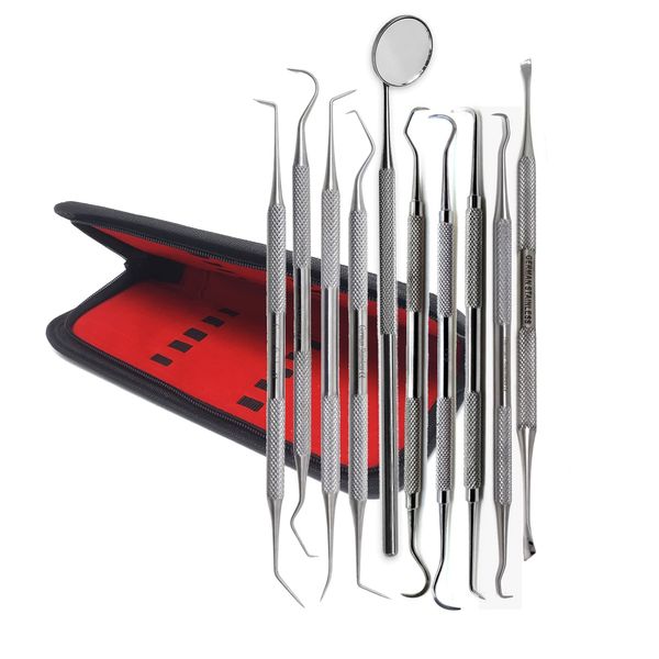 Professional Dental Picks Kit of 10 Pcs Cleaning Set Gum Care for Plaque Remover & Oral Hygiene Made of Stainless Steel Double & Single Ended Picks + Scraper & Mouth Mirror with Carrying Case