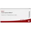 ISCUCIN quercus Stärke F Ampullen 10X1 ml