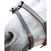 Shires Velociti GARA Flash Strap Cob Black