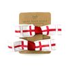 England St George Flag Hair Clip Set