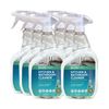 ECOS PRO PL9746/6 All-Purpose Kitchen-Bathroom Cleaner, Parsley Plus (Pack of...