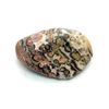 Leopard Skin Jasper Large Crystal Tumbled Stone