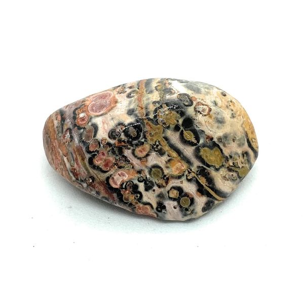 Leopard Skin Jasper Large Crystal Tumbled Stone