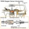 Oxygen Sensor Compatible with 2009-2007 Volkswagen Touareg 4.2L BAR Engine O2 Sensor 234-4843 Lambda Sensor