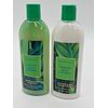 Shampoo & Conditioner WAIKIKI BEACH COCONUT bath body set 16 oz