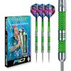 Peter Wright Snakebite Mamba: 22g Tungsten Darts Set with Flights and Stems
