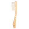 Sustuff | 4-Pack Bamboo Replacement Toothbrush Heads | Plant-Based Bristles | Biodegradable Wood (Medium Bristles)