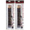 Peel & Sketch Charcoal Pencils 3/Pkg-