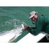 Might Bite Trophy Collection Kit - Large Lures for Big Fish! 5.5", 7", 8" 9" The bigest Lures we Make!