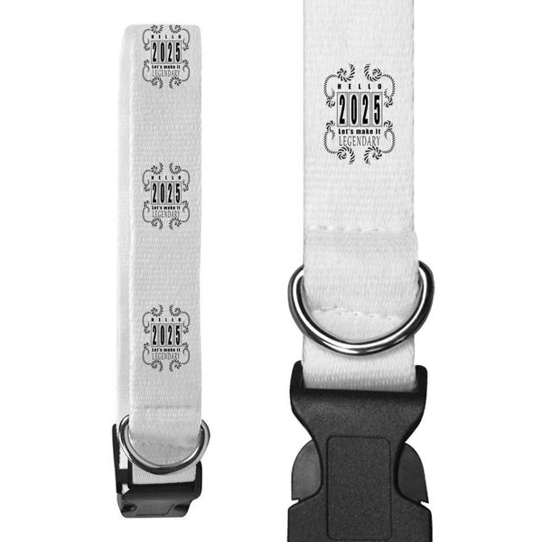 Large 'A Journey Through 2025' Dog Collar (PR00060670)