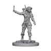 NECA Pathfinder Deep Cuts Unpainted Miniatures: Wave 1: Human Female Rogue