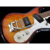 Mosby Tremolo And Bridge Assembly