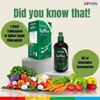 Splina Liquid Chlorophyll by Edmark Int'l. 500ml