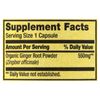 Spring Valley Ginger Root Capsules 550 mg 100-Count, Pack of 2