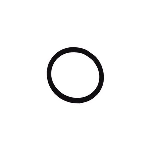 Server 1-5/16" O-Ring for New Pump Body