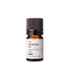 Jasmine Sambach Absolute Organic/2ml Essential Oil