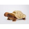 Douglas Speedy Tortoise Plush Stuffed Animal