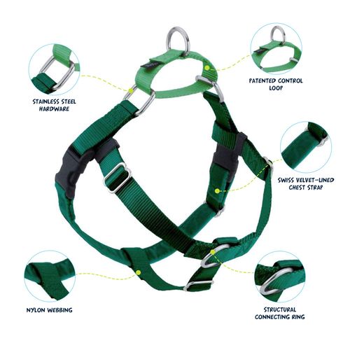 2 Hounds Design Freedom No Pull Dog Harness | Comfortable Control for Easy Walking | Adjustable Dog Harness | Small, Medium & Large Dogs | Made in USA | Solid Colors | 1" XL Kelly Green