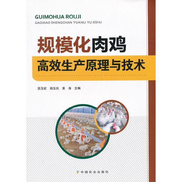 规模化肉鸡高效生产原理与技术