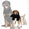 TUFFY - World's Tuffest Soft Dog Toy - Zoo Junior Bear - Squeakers - Multiple Layers. Made Durable, Strong & Tough. Interactive Play (Tug, Toss & Fetch). Machine Washable & Floats
