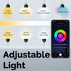 MOES 2Pack Smart WiFi ST64 Edison LED Light Bulbs Multicolor CW&RGB Dimmable 40W