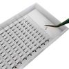 Eyelash Extensions, 3 Boxes, 5D Volume Eyelashes, C, D Curl, Thickness 0.07, 0.10mm, 12 Rows, 5 Bundles, Pine Extension, Natural, Popular, 3 Trays Short Stem 5D Eyashes Extension (D-0.04 inches (10 mm), 0.4 inches (10 mm) x 3)