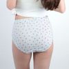 Strawberry Pattern Cotton Deep Wear Shorts Saxophone