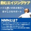 アルスウエルネス NMN VICT サプリメント