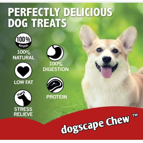 Dogscape chew Odor Free Bully Sticks (4 Inch, 50 Pack) for Small & Medium Dogs - 100% Beef Chews for Pups, Non-GMO, Grain-Free, Fully Digestible Long Lasting Dog Treats