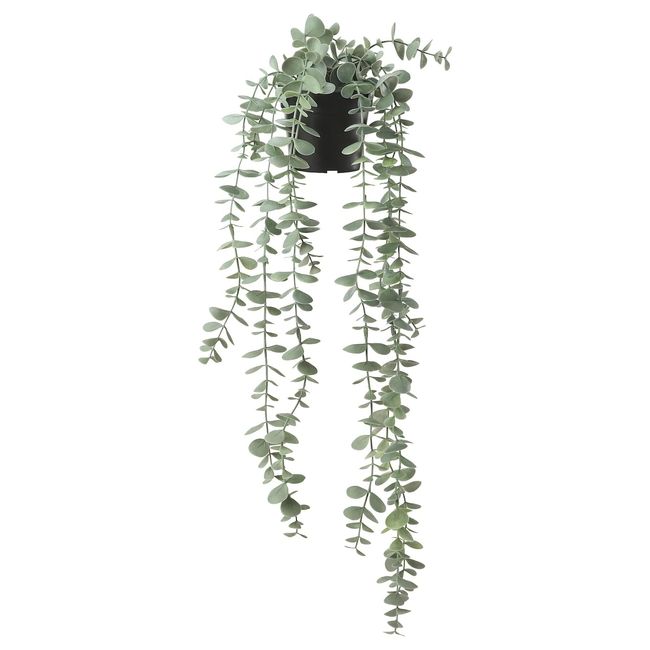 Ikea FEJKA: Artificial Ornamental Plant/Hanging 22.8 inches (58 cm), Eucalyptus (904.668.10)