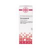 Flor de Piedra D3 DHU Dilution, 20 ml Lösung