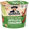 Quaker Apples and Cinnamon Instant Oatmeal Cup 1.51 oz. - 24/Case