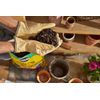 Miracle-Gro Garden Potting Mix for Plants, 16 Quart Bag